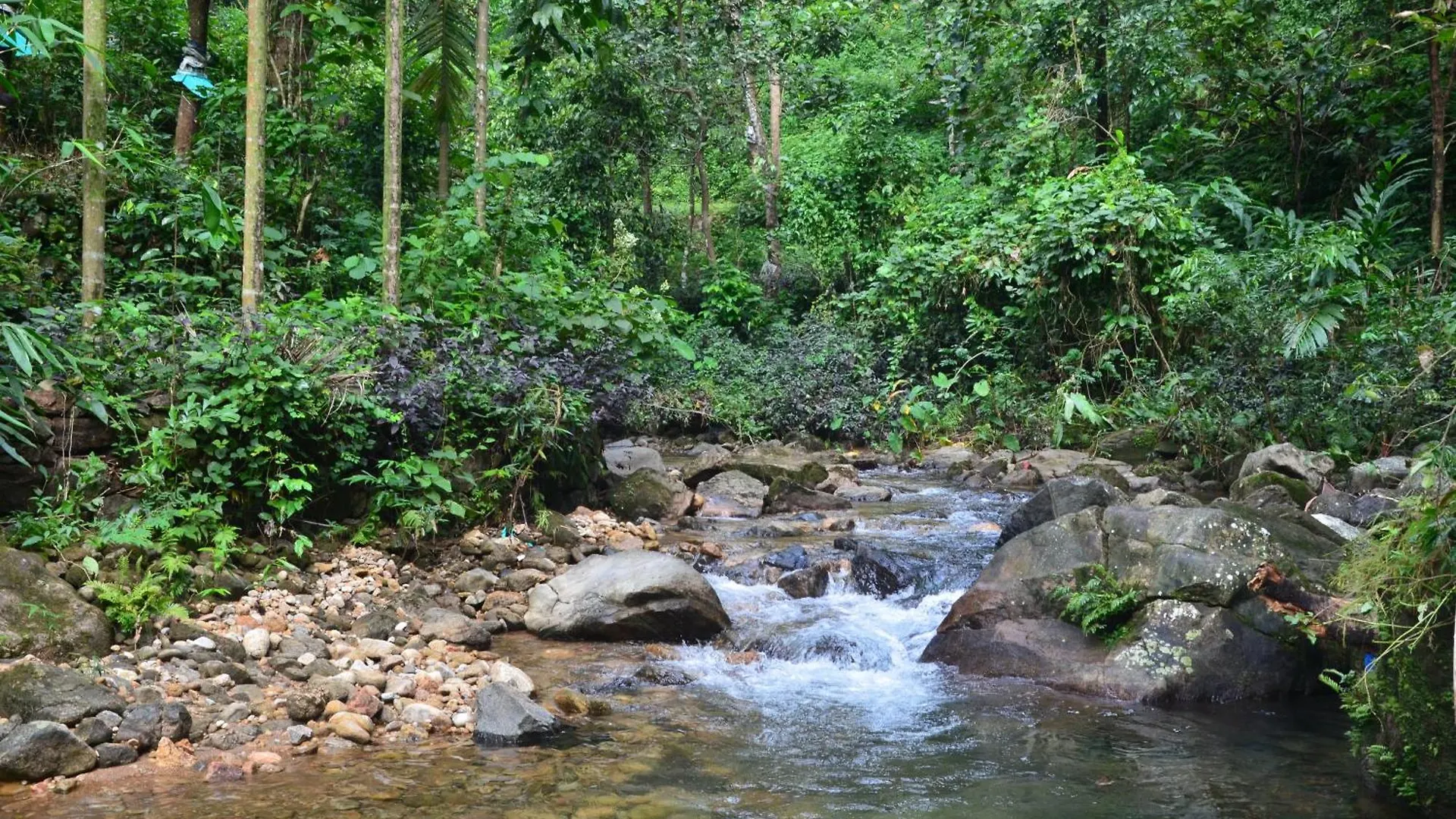 Colonel'S Retreat, Mavady, Vagamon Villa 0*,