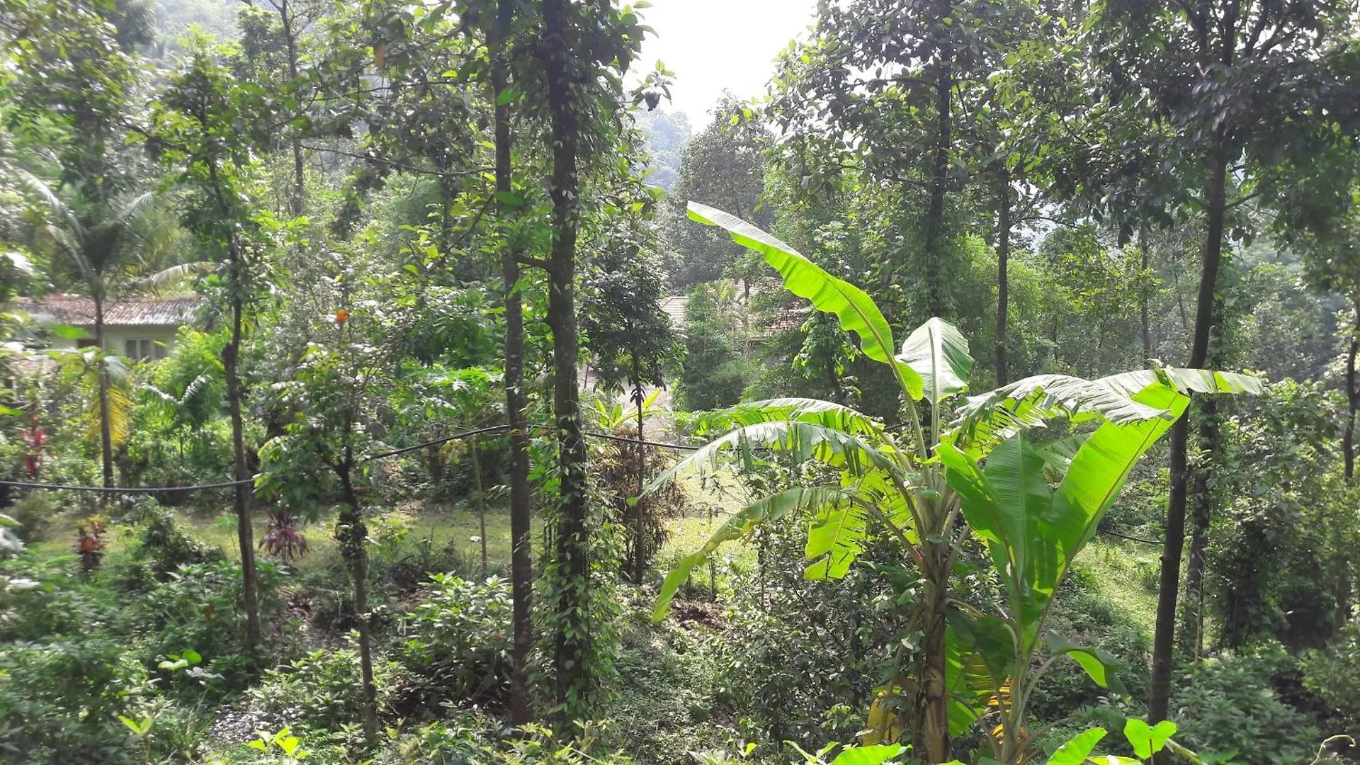 Lodge Colonel'S Retreat, Mavady, Vagamon Villa India