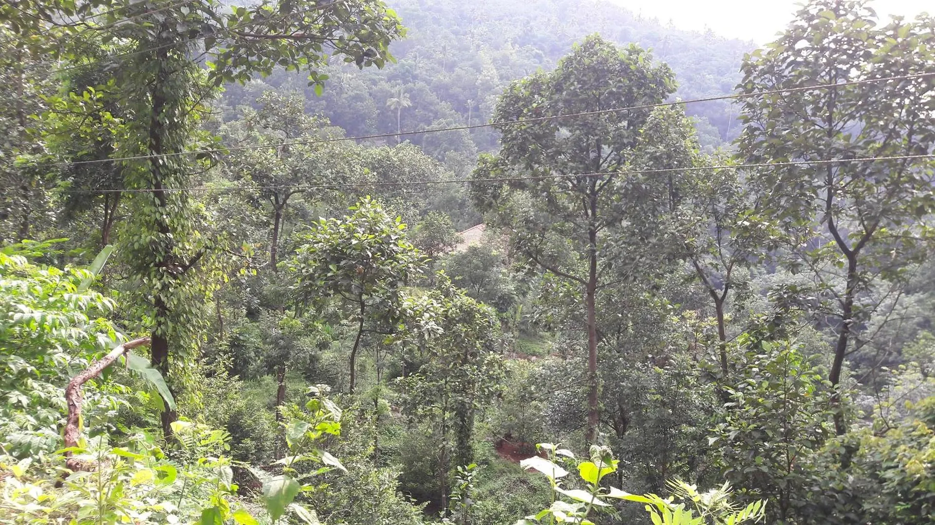Vila Colonel'S Retreat, Mavady, Vagamon Chata